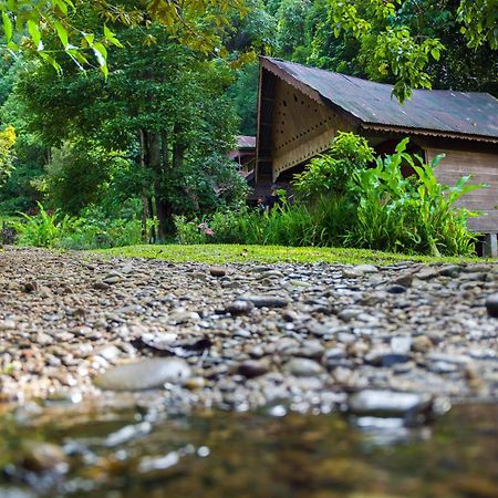 Pak Mus Guest House Ketambe - 0813-7072-1793 Kutacane Exterior photo